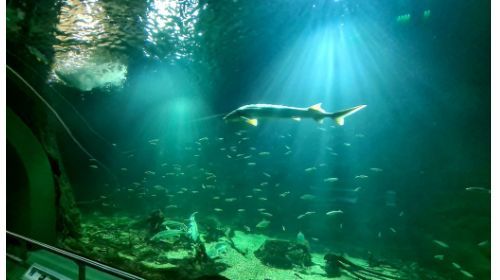 Eko centrum Jezioro Cisa